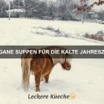 Perfekte Rezepte für den Winter