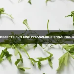 Leckere Rezepte mit frischen Zutaten